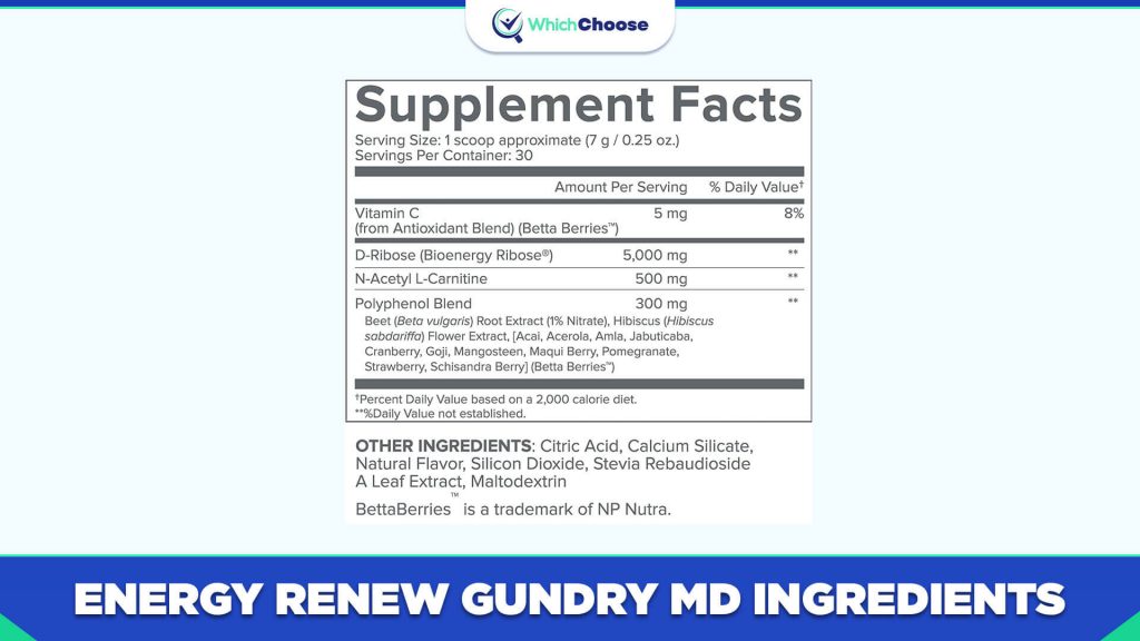 Energy Renew Gundry MD Ingredients