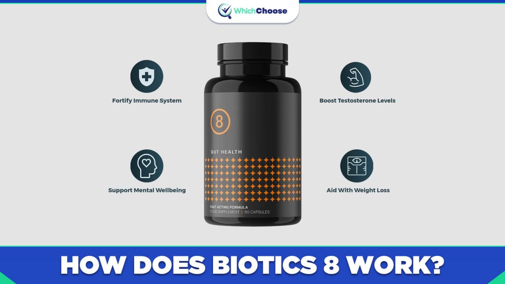 How Does Biotics 8 Work? 