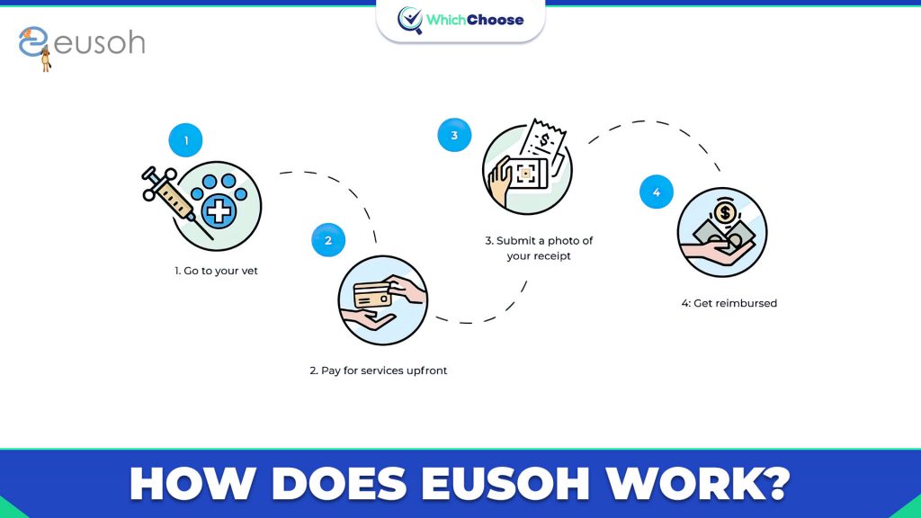 How Does Eusoh Work?