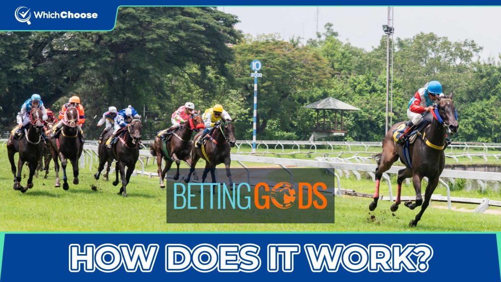 How Does Betting Gods Work?