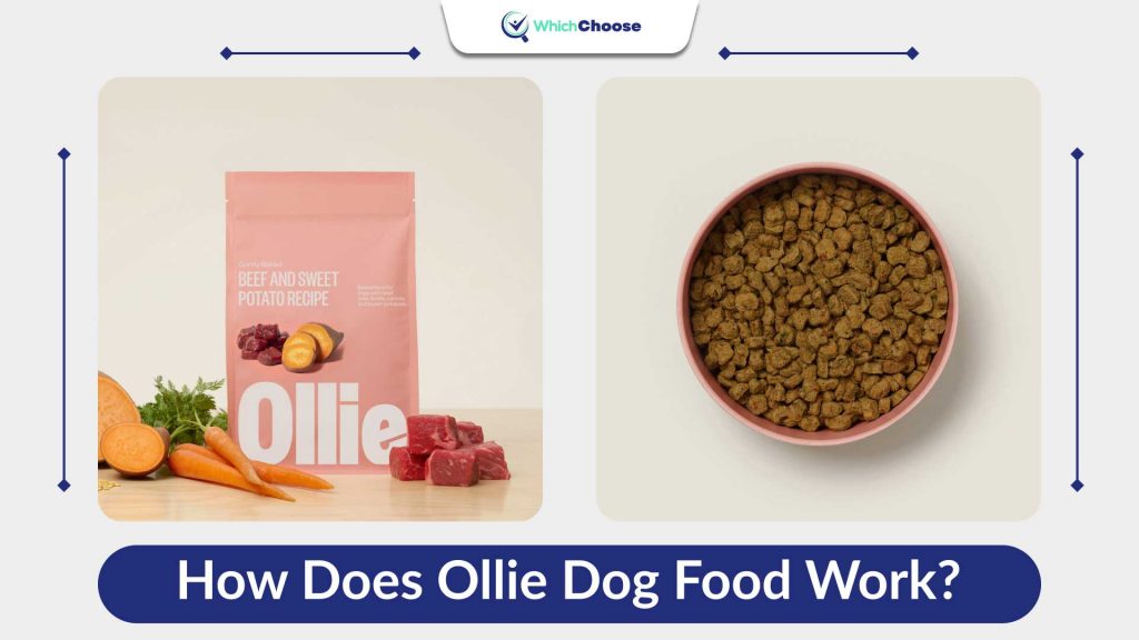 How Does Ollie Dog Food Work?