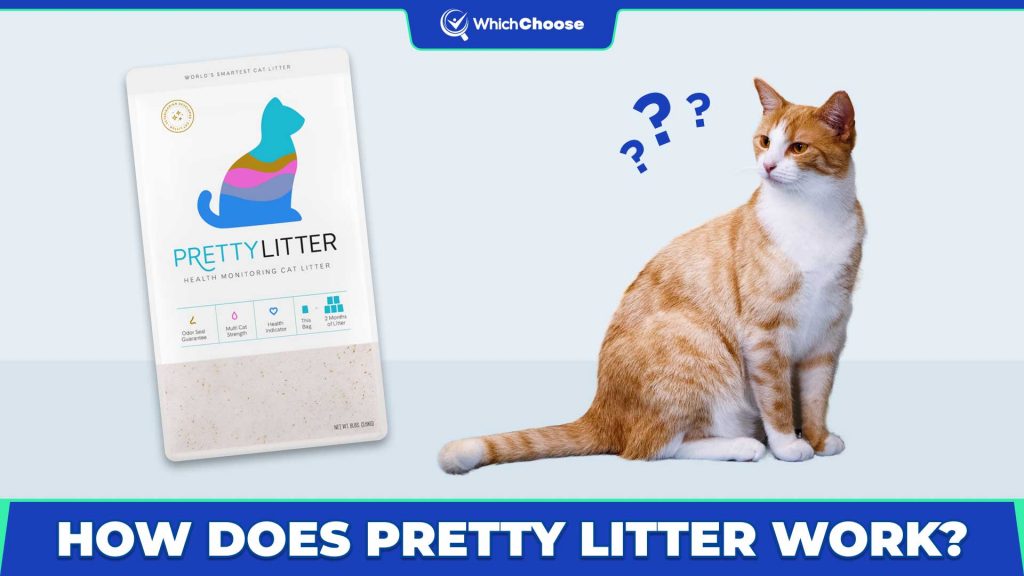 How Does Pretty Litter Work?
