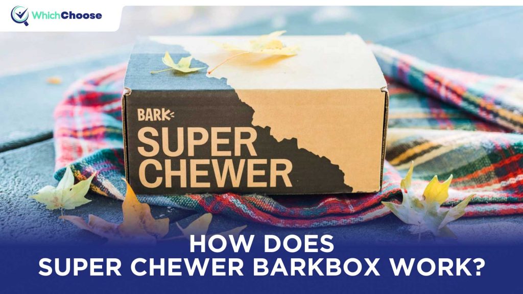 How Does Super Chewer BarkBox Work?