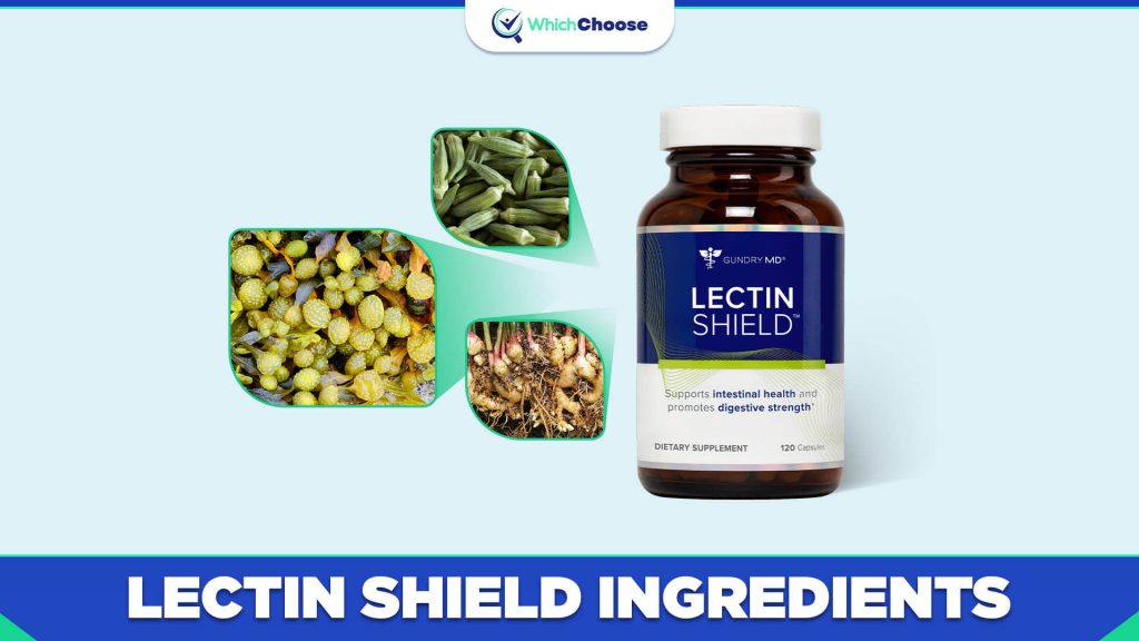 What Are Lectin Shield Ingredients?