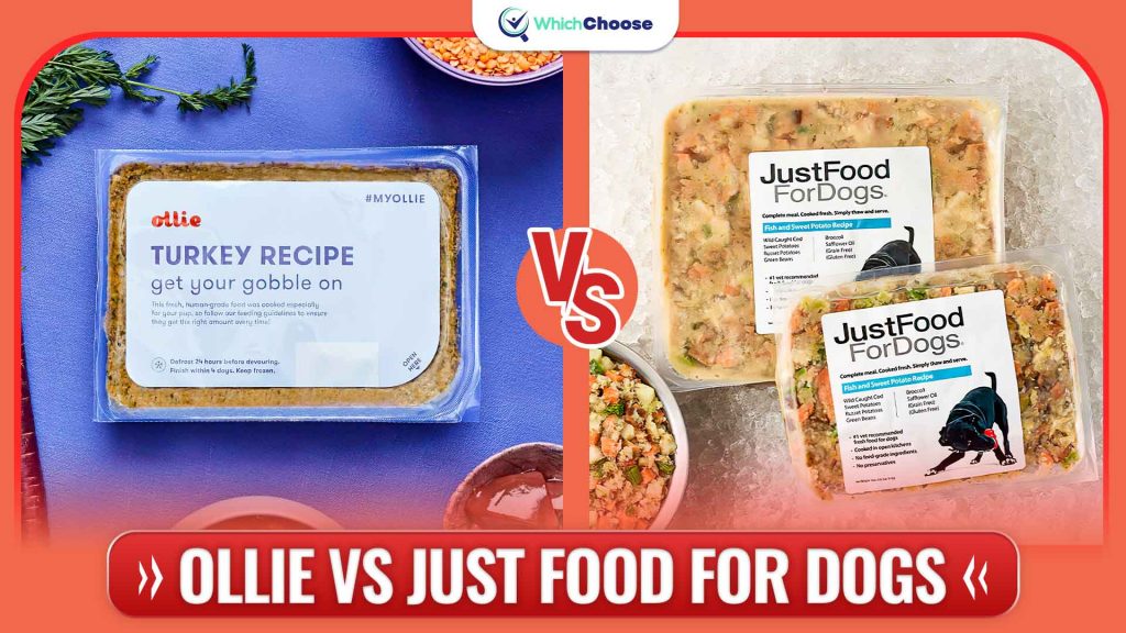Just Food For Dogs vs Ollie: Price