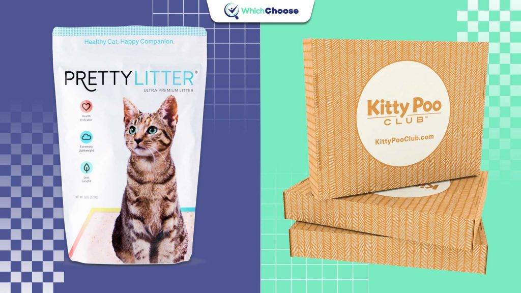 Pretty Litter vs Kitty Poo Club: Introduction