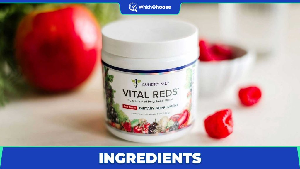 What Is The Gundry Vital Reds Ingredients?