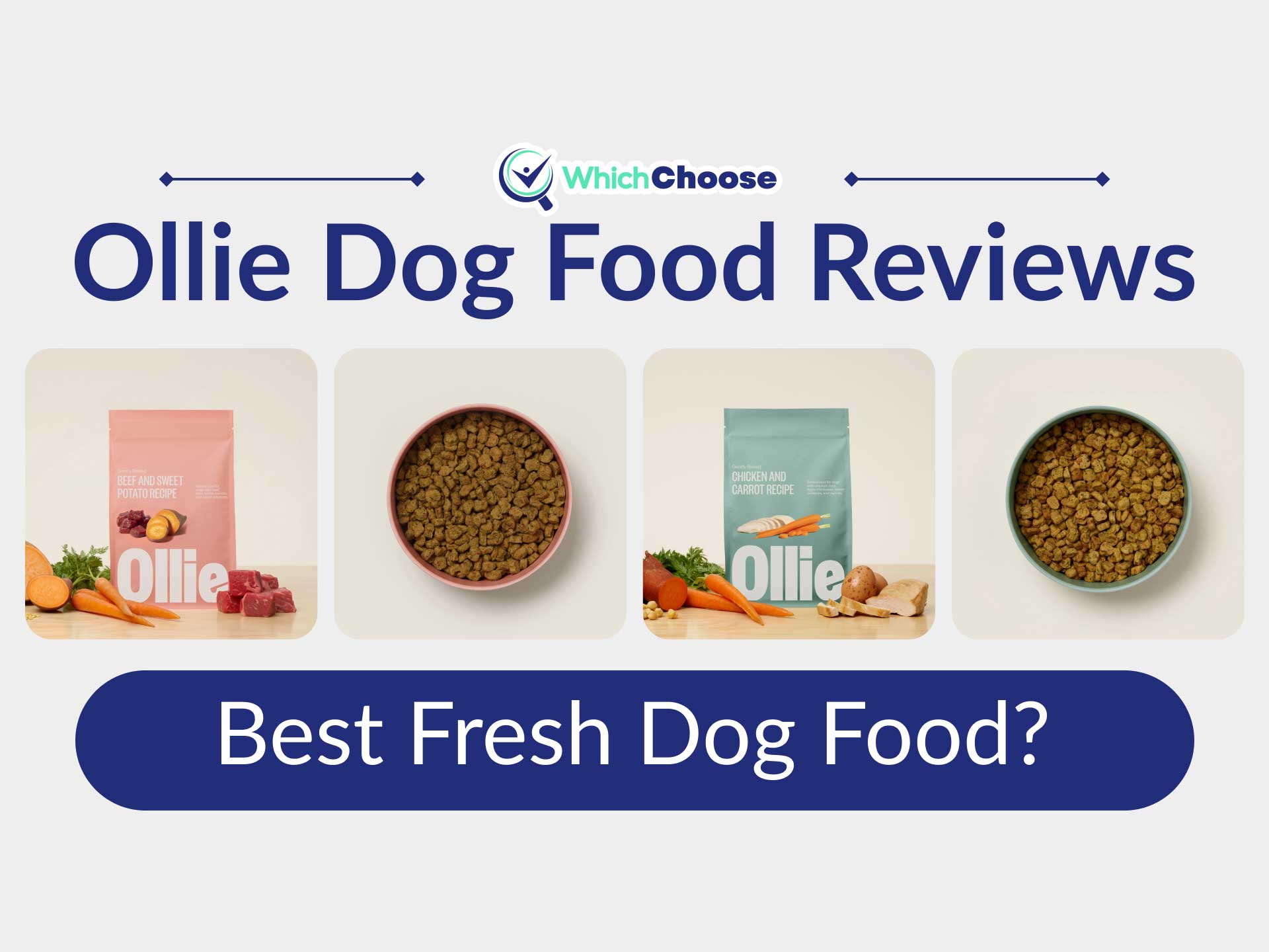 Ollie Dog Food Reviews 2023 Is It The Best Fresh Food? WhichChoose