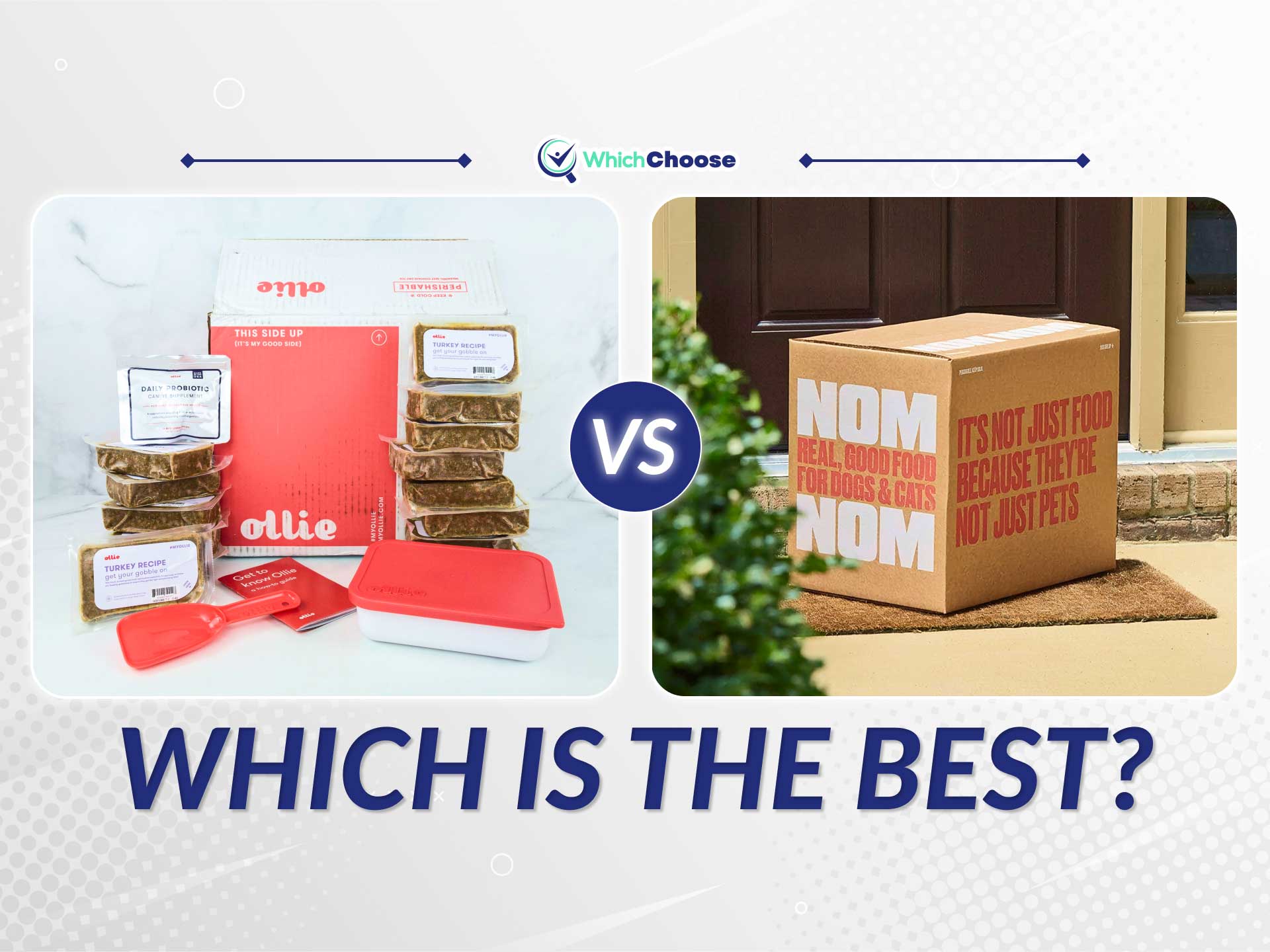 Ollie Vs Nom Nom: Which One Is Better?