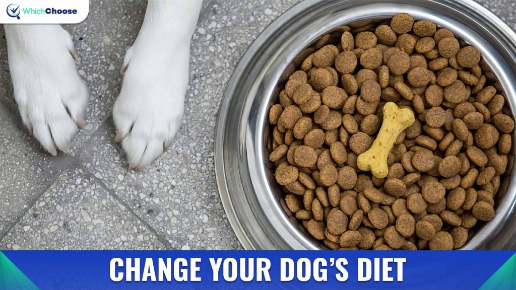 Change Your Dog's Diet