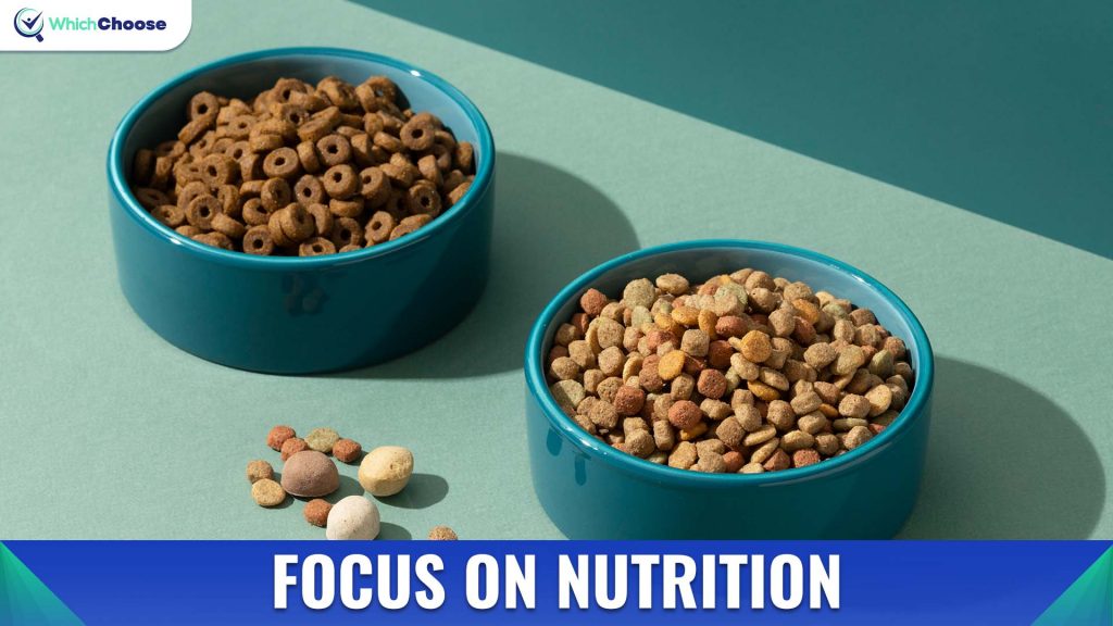 Focus On Nutrition