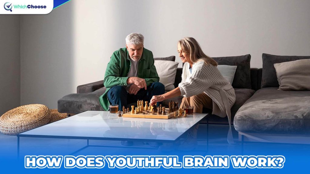 How Does a Youthful Brain Work?