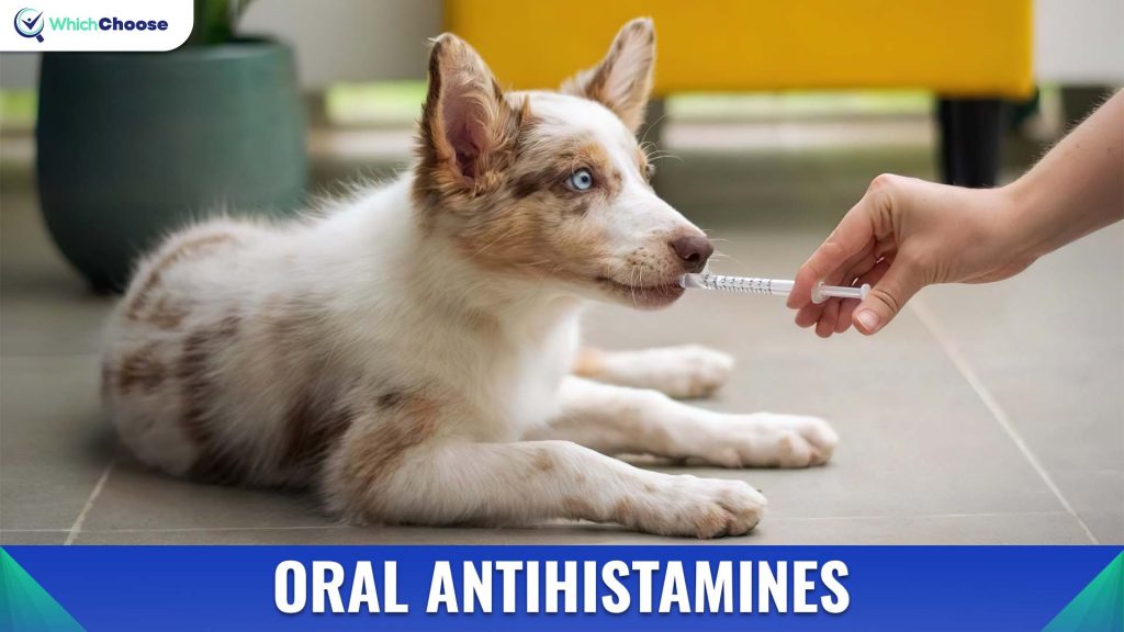Oral Antihistamines