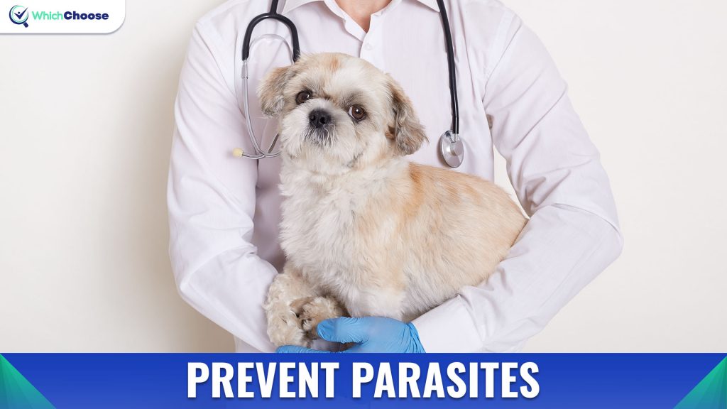 Prevent Parasites
