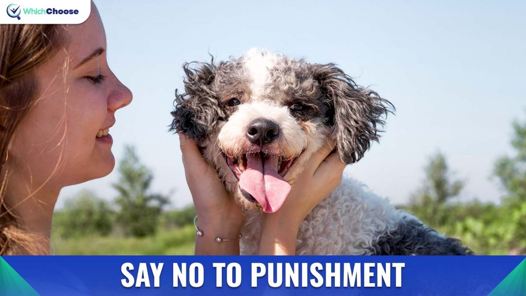 Say No To Punishment