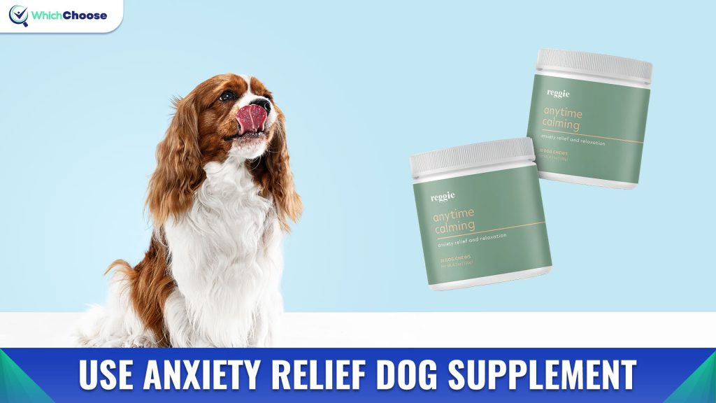Use Anxiety Relief Dog Supplement