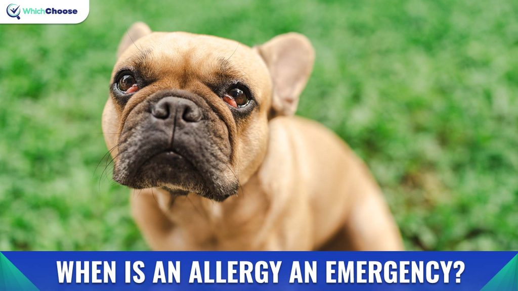 When Is An Allergy an Emergency?