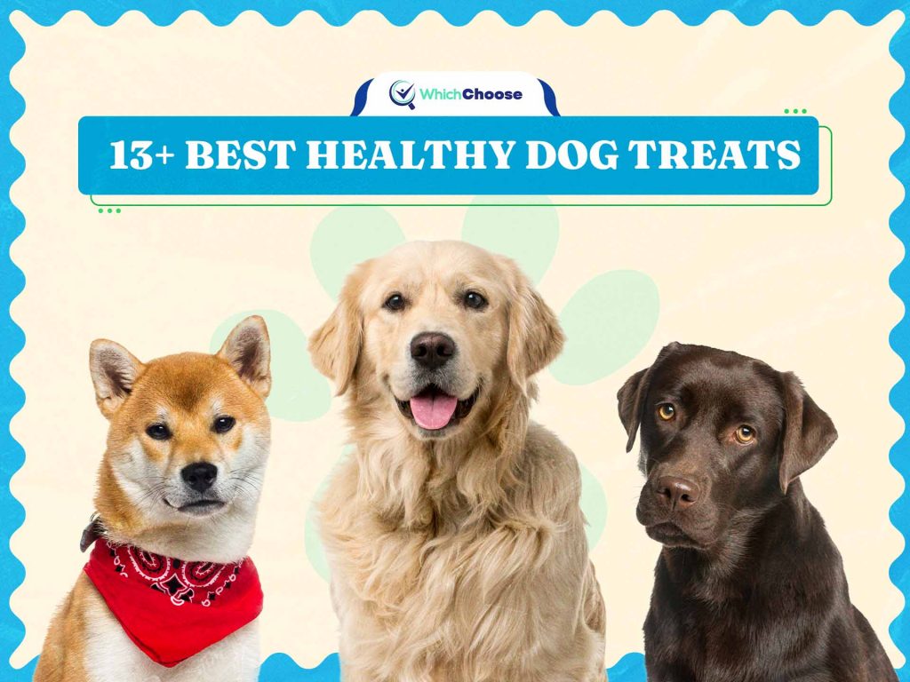 Best Healthy Dog Treats